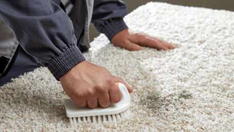 Professional Rug Cleaning Belgrave